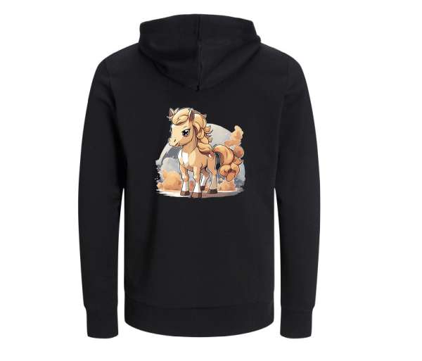Sweat à capuche N°20
